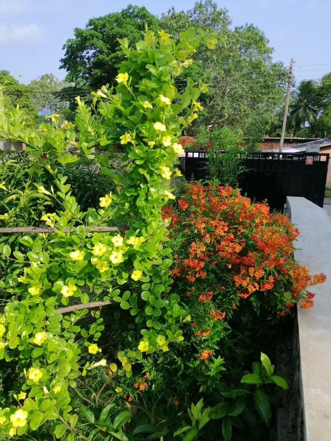 Golden Residence Anuradhapura Exterior photo